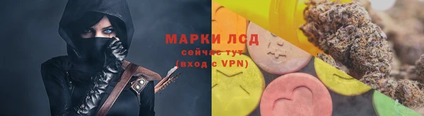 стаф Козловка
