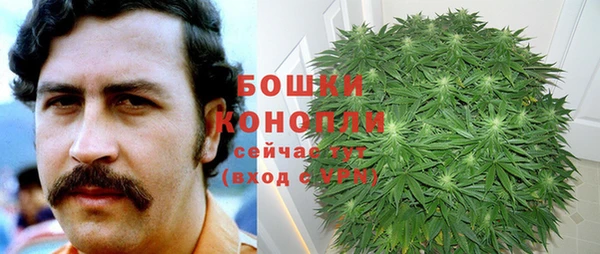 стаф Козловка