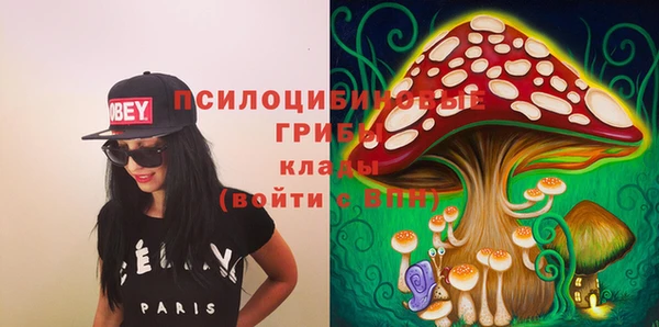 стаф Козловка
