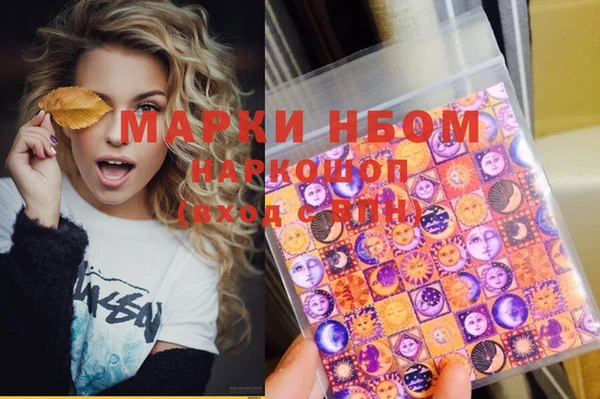 стаф Козловка